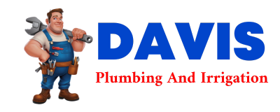 Trusted plumber in WEAVER